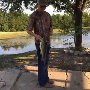 Meet your Posher, Melvin